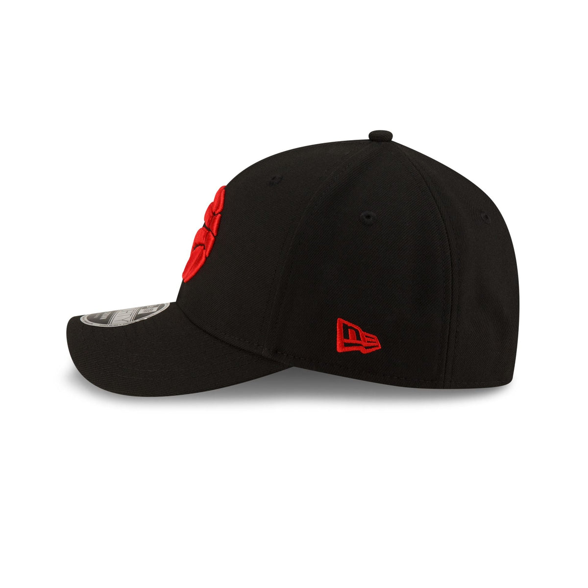 Toronto Raptors Team 9FORTY M-Crown Snapback Hat