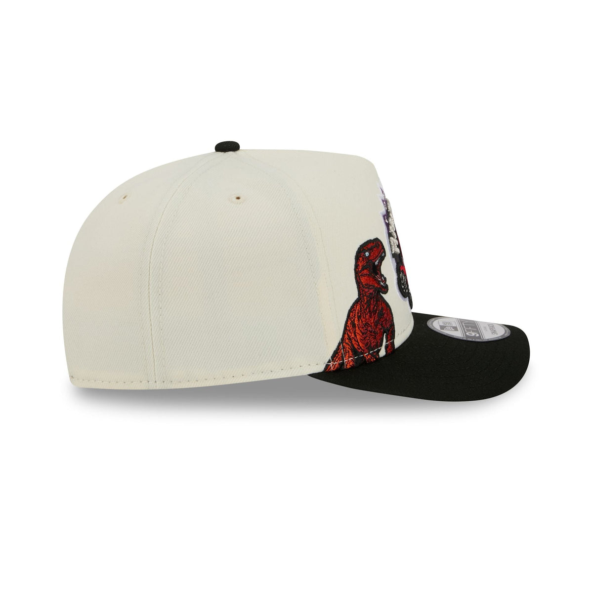 Toronto Raptors 1995-2007 Hardwood Classics Chrome White 9FIFTY A-Frame Snapback Hat