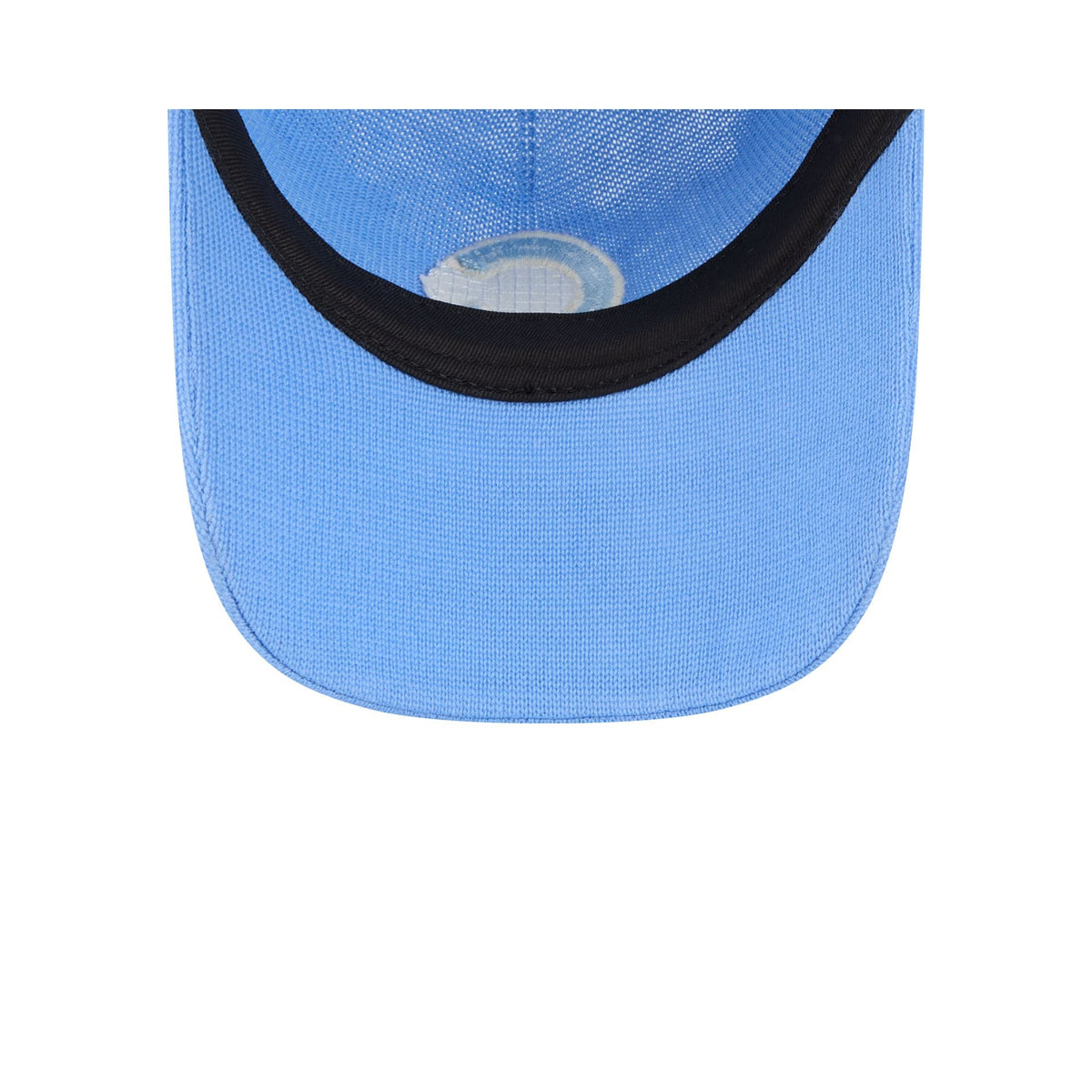Chicago Cubs Merino Wool Sky Blue 9TWENTY Adjustable Hat