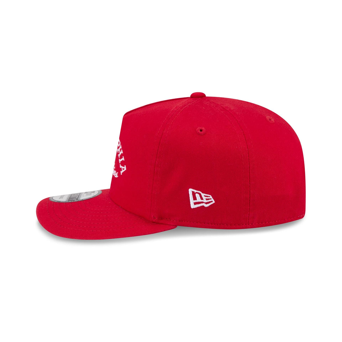 Philadelphia Phillies Arched Graphic 19TWENTY Snapback Hat