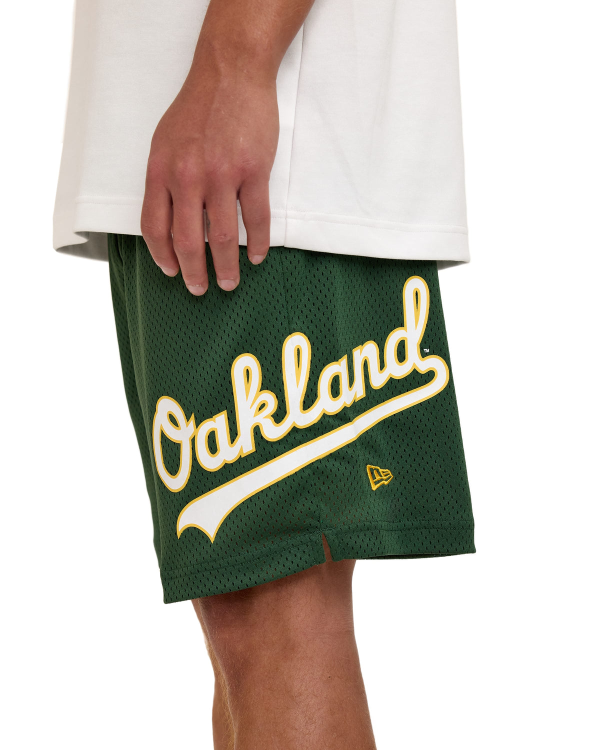 New York Yankees Summer Shorts